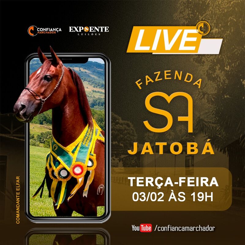 II LIVE FAZENDA JATOBA