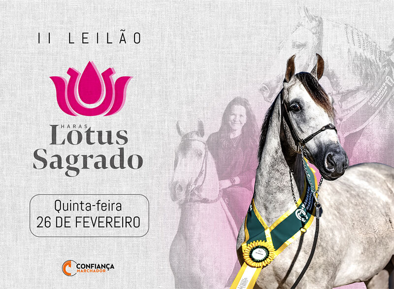 II LEILÃO HARAS LOTUS SAGRADO