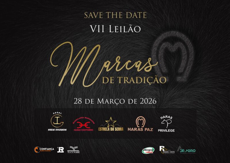 VII LEILÃO MARCAS DE TRADIÇÃO