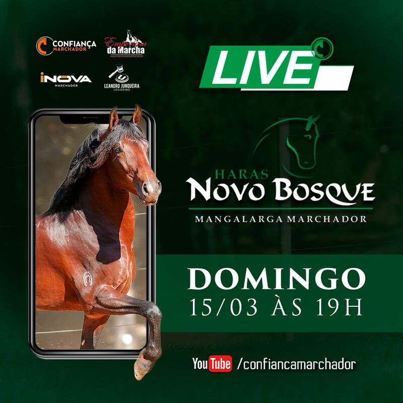 IV LIVE HARAS NOVO BOSQUE