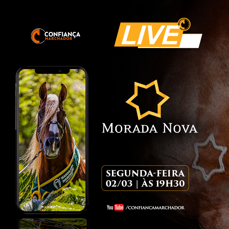 VI LIVE MORADA NOVA