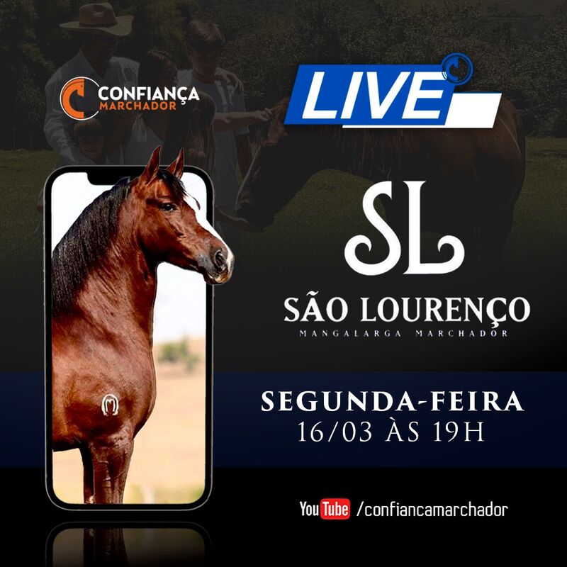 III LIVE HARAS SÃO LOURENÇO