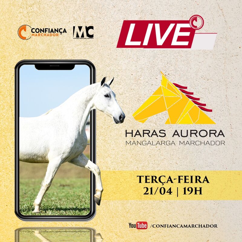 LIVE HARAS AURORA