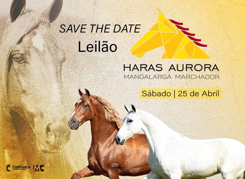 LEILÃO HARAS AURORA