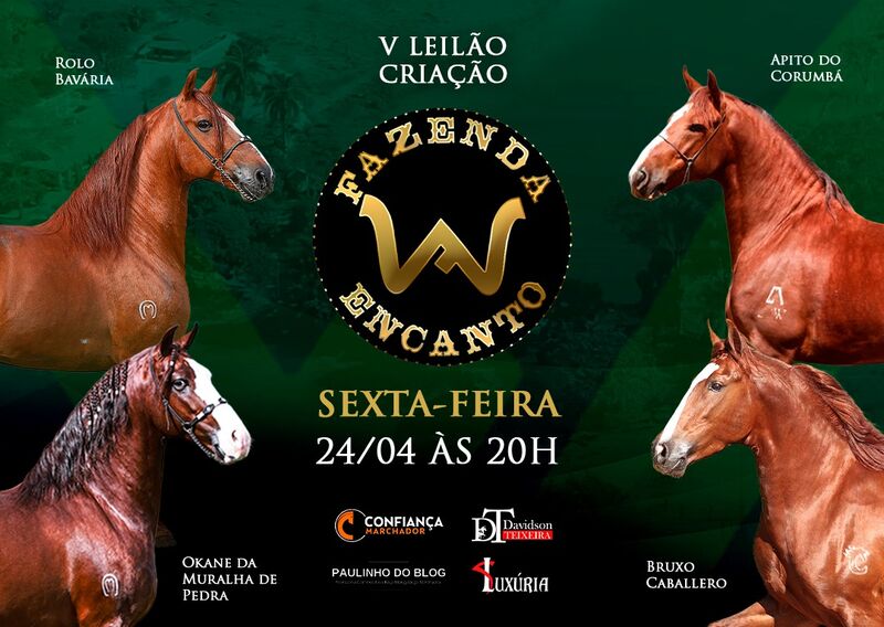 V LEILÃO CRIAÇÃO FAZENDA ENCANTO WF