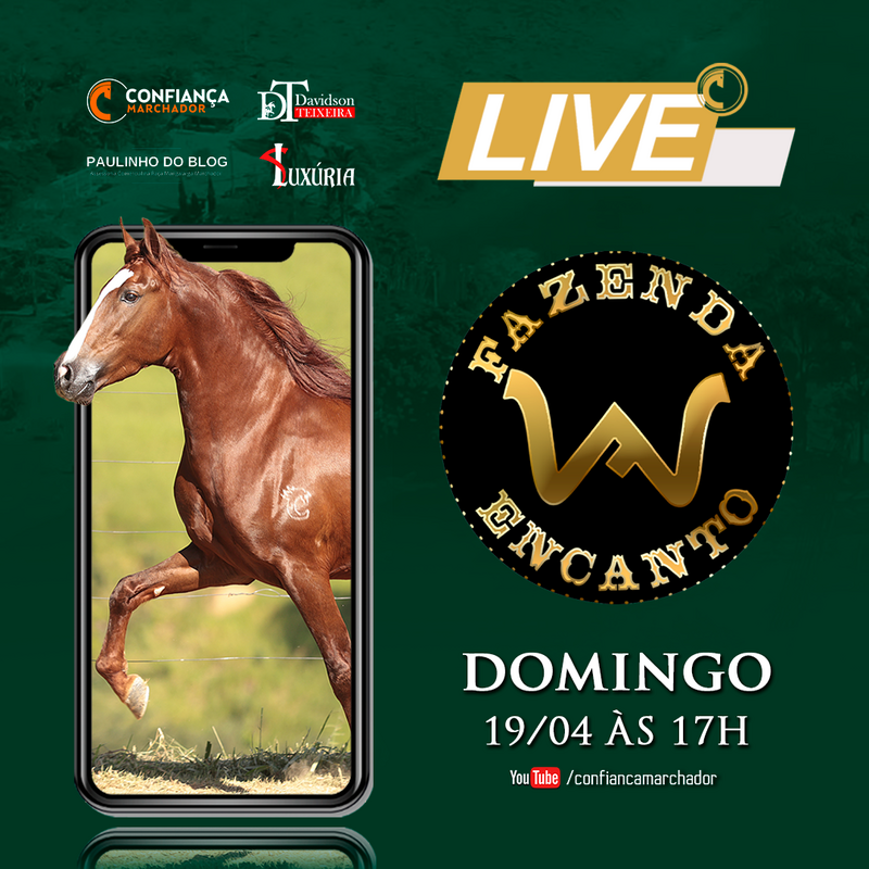 II LIVE FAZENDA ENCANTO WF