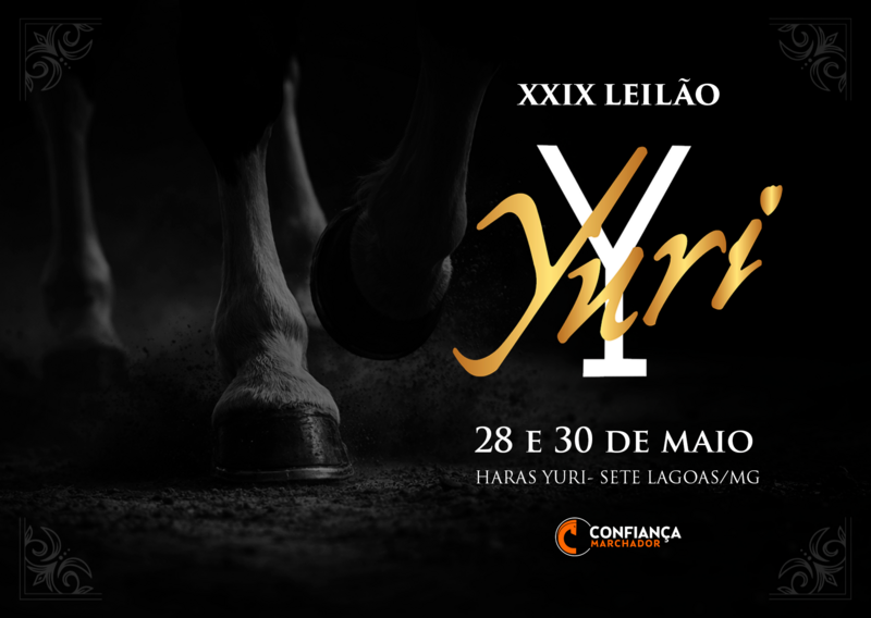 XXIX LEILÃO YURI