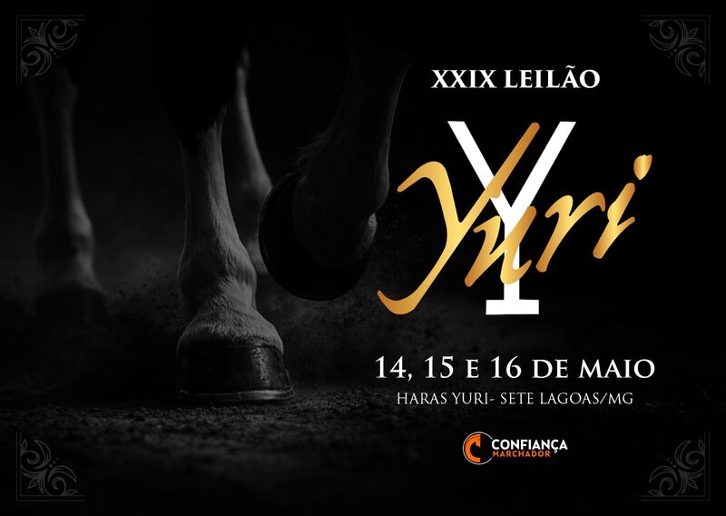 XXIX LEILÃO YURI