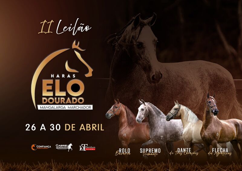 II LEILÃO HARAS ELO DOURADO