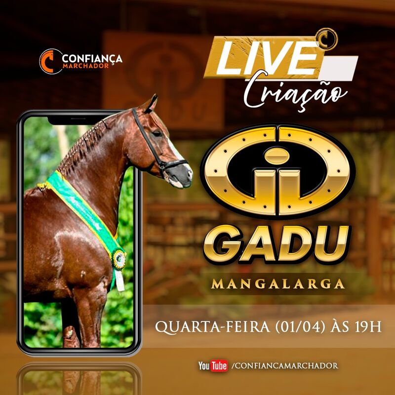 LIVE CRIAÇÃO GADU - MANGALARGA