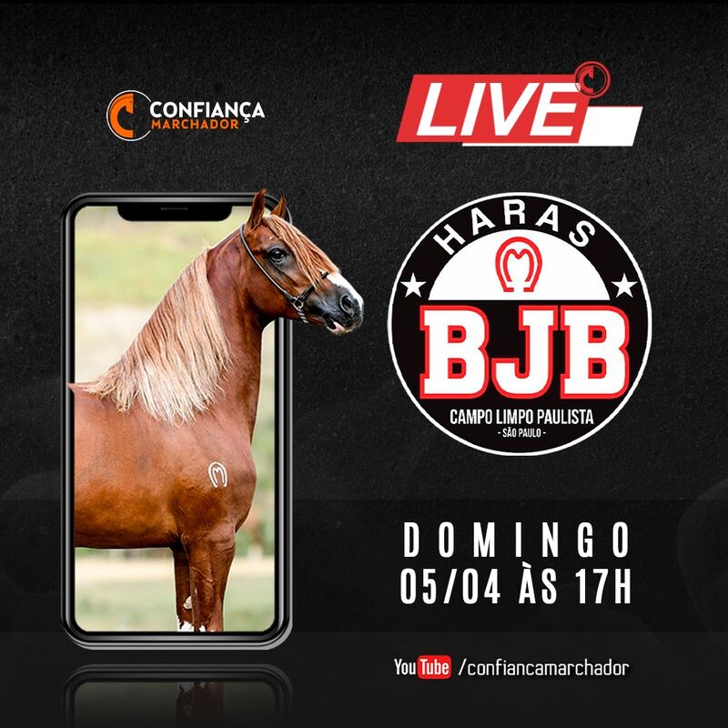 III  LIVE HARAS BJB