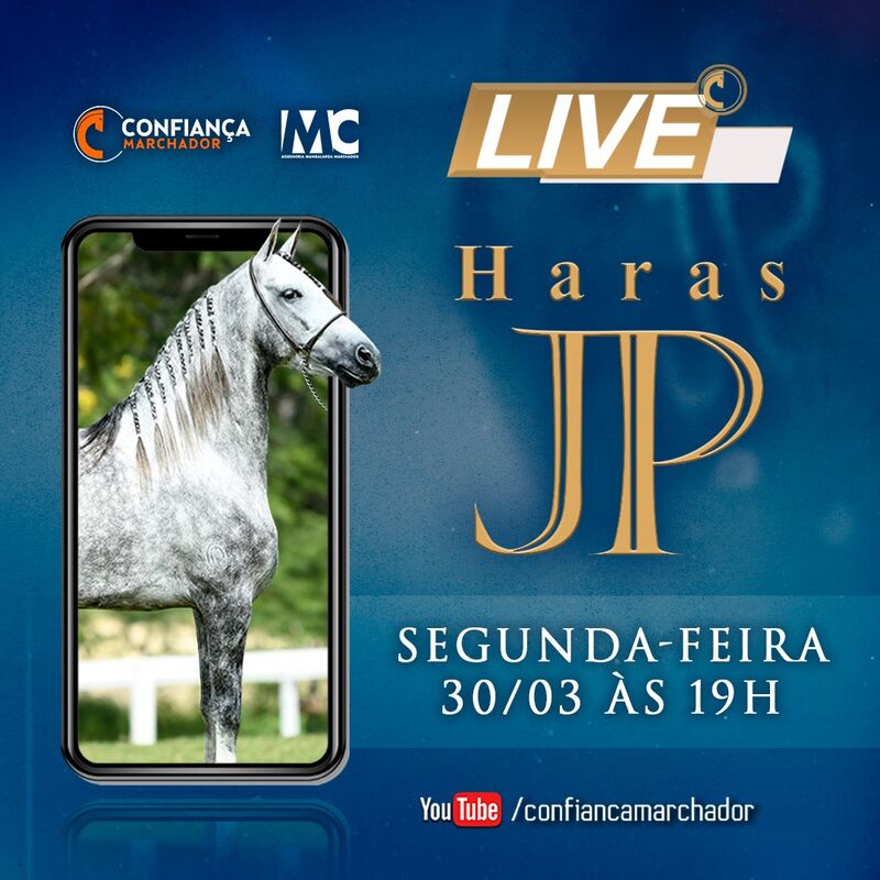 IV LIVE HARAS JP