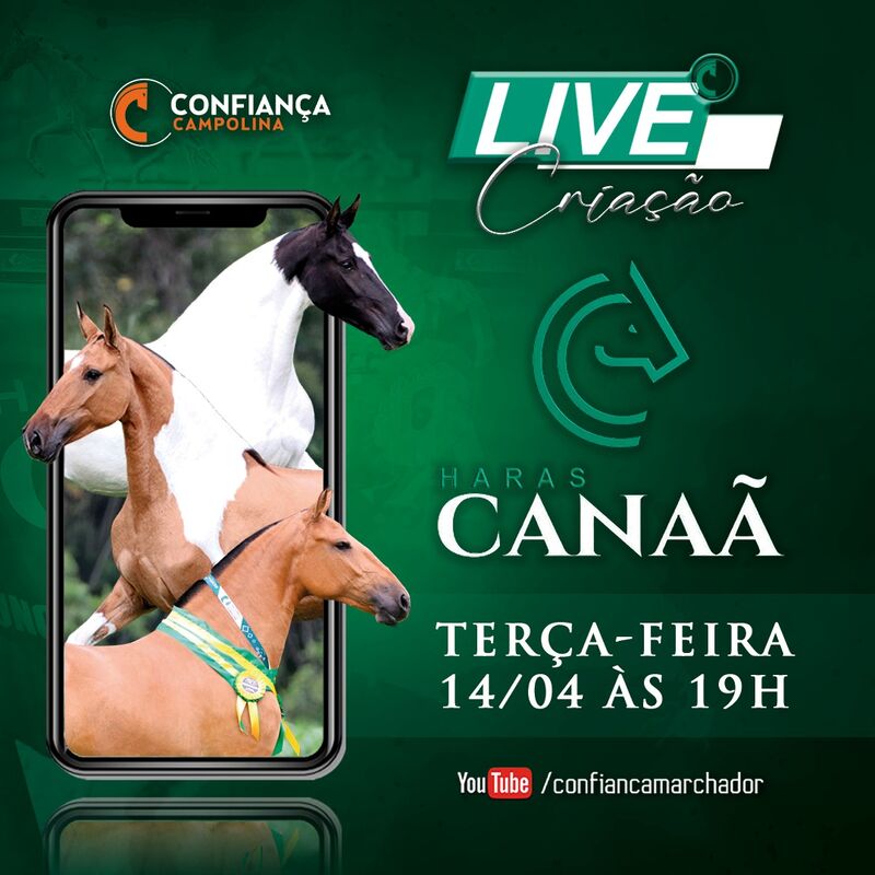 LIVE CRIAÇÃO HARAS CANAÃ