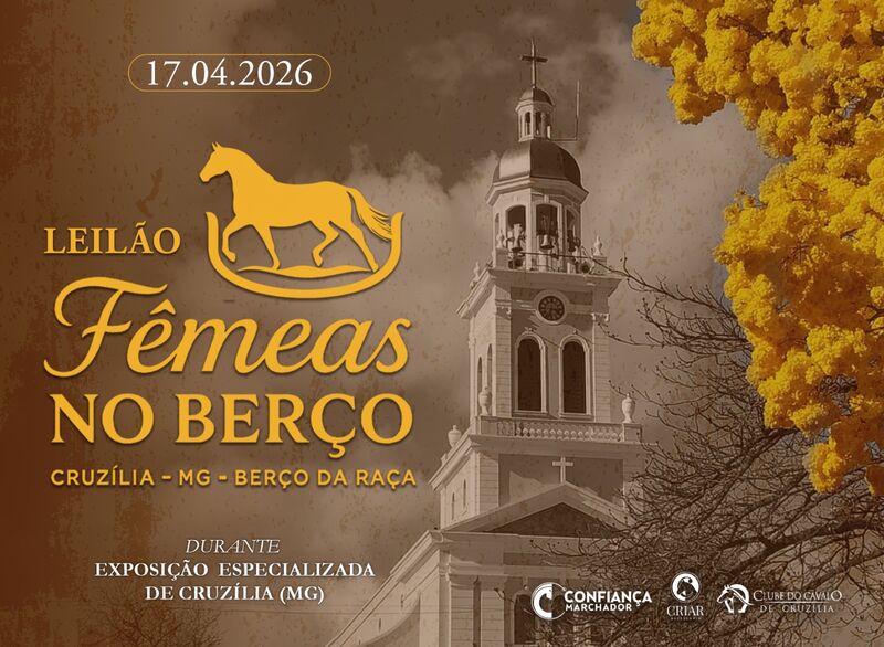 LEILÃO FÊMEAS NO BERÇO