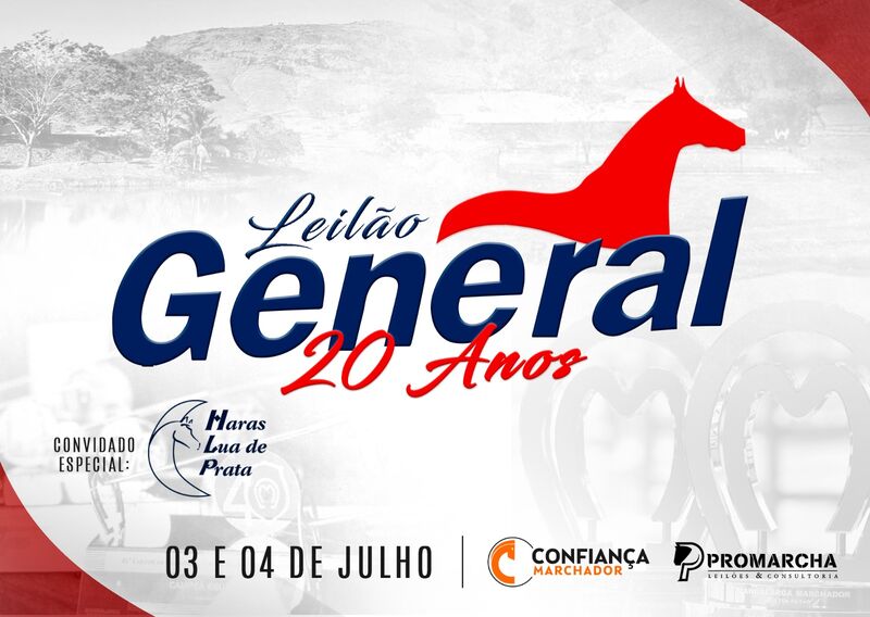 LEILÃO GENERAL 20 ANOS