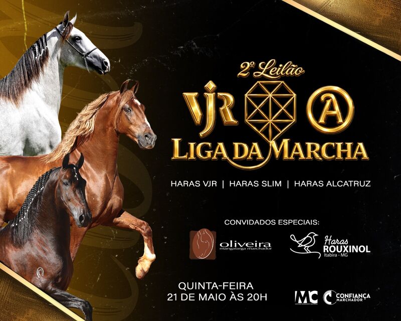 2º LEILÃO LIGA DA MARCHA