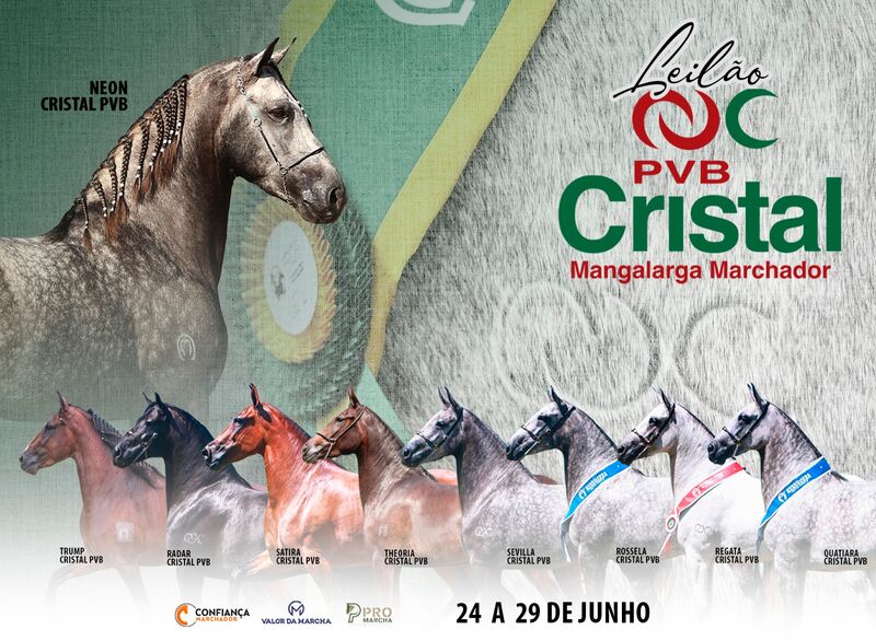LEILÃO CRISTAL PVB