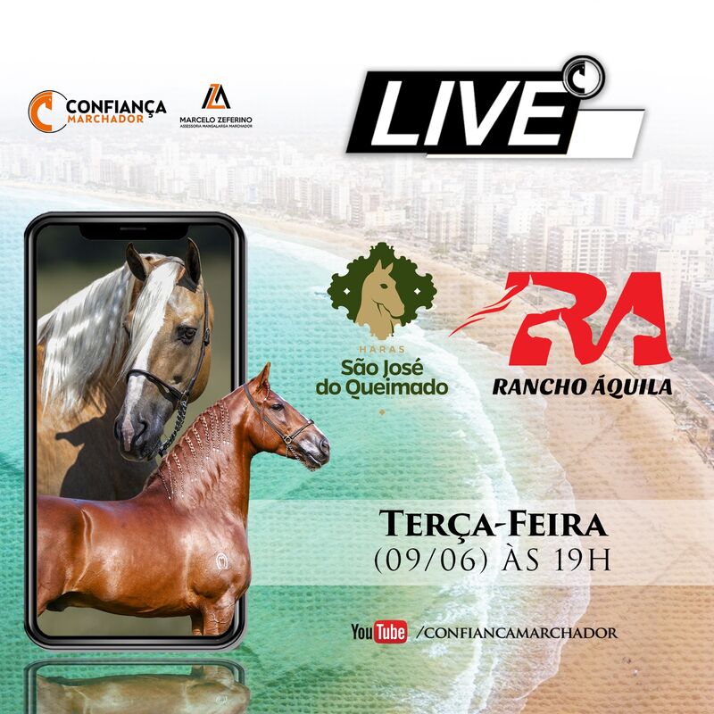 LIVE HARAS SÃO JOSÉ DO QUEIMADO & RANCHO ÁQUILA