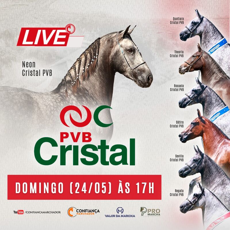 LIVE CRISTAL PVB