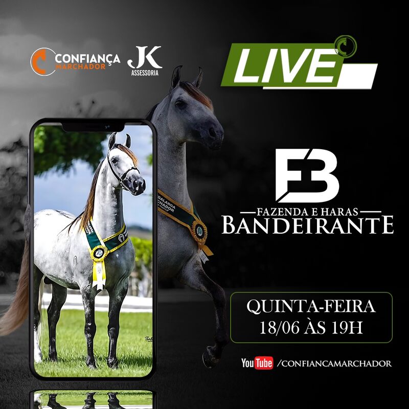 LIVE FAZENDA E HARAS BANDEIRANTES
