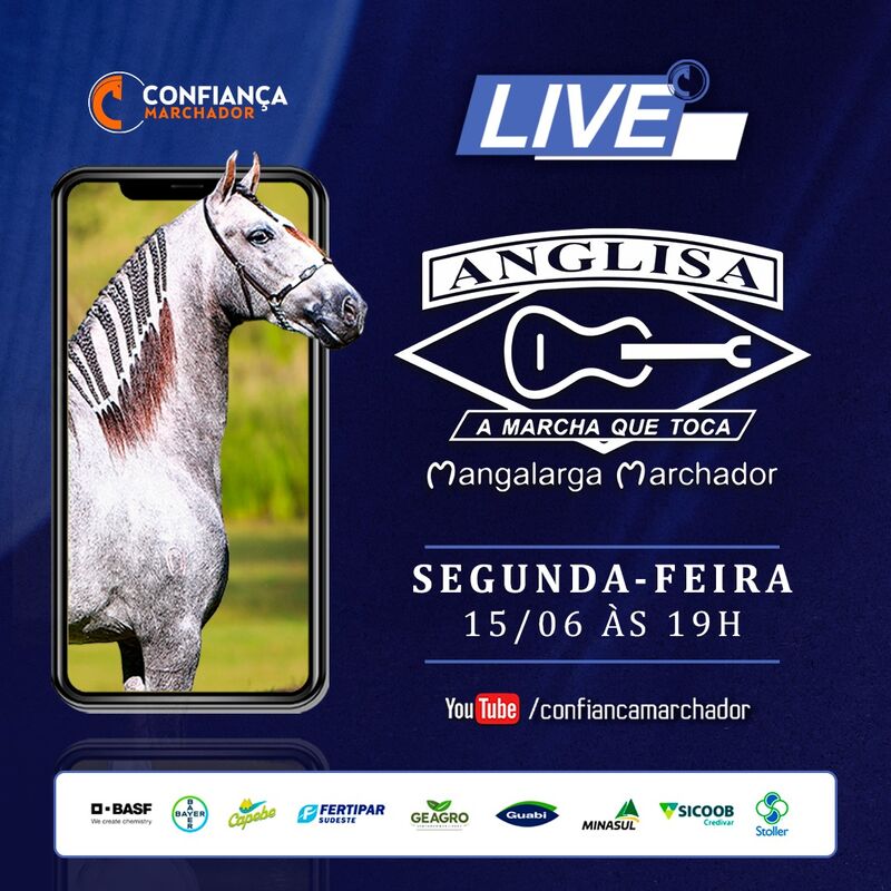 VII LIVE HARAS ANGLISA