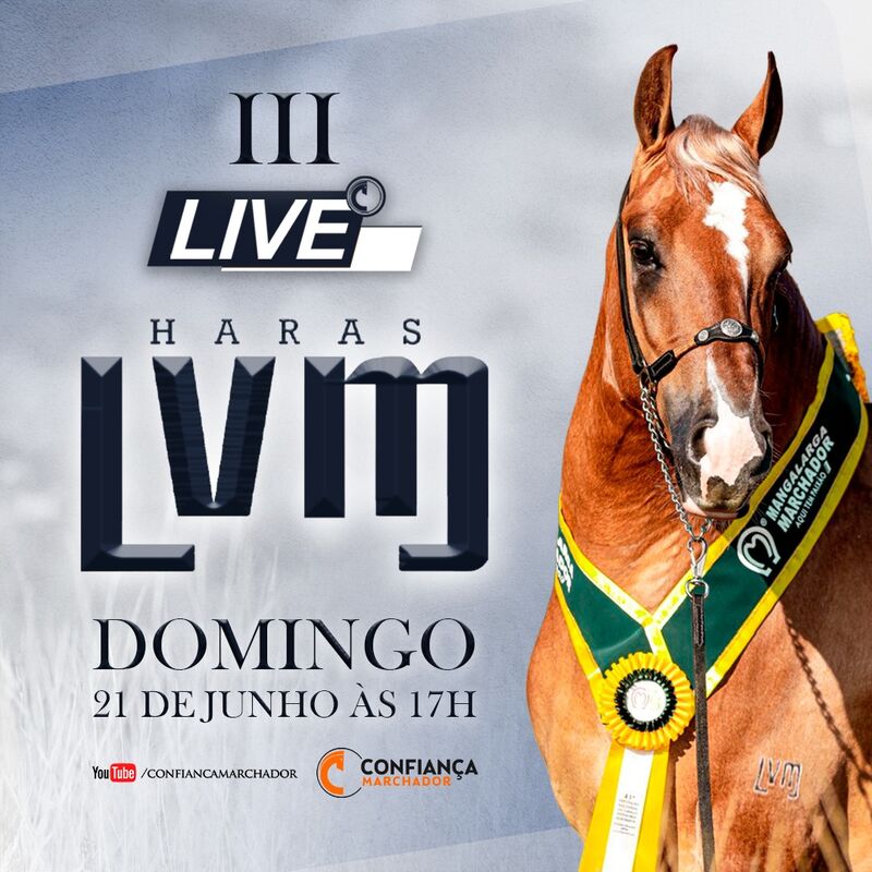 III LIVE HARAS LVM