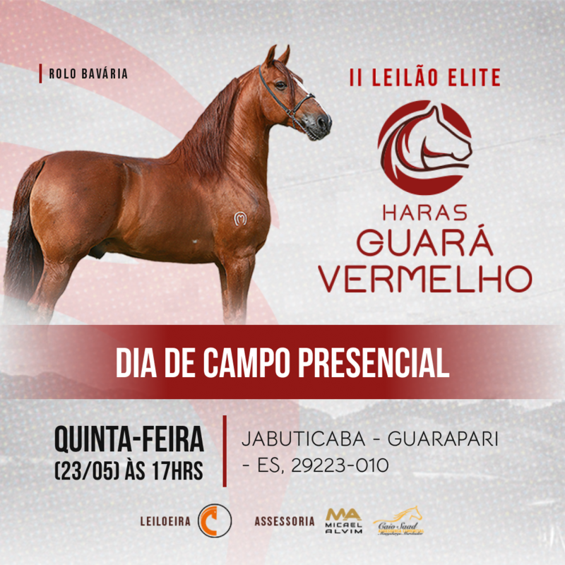 II LEILÃO ELITE HARAS GUARÁ VERMELHO