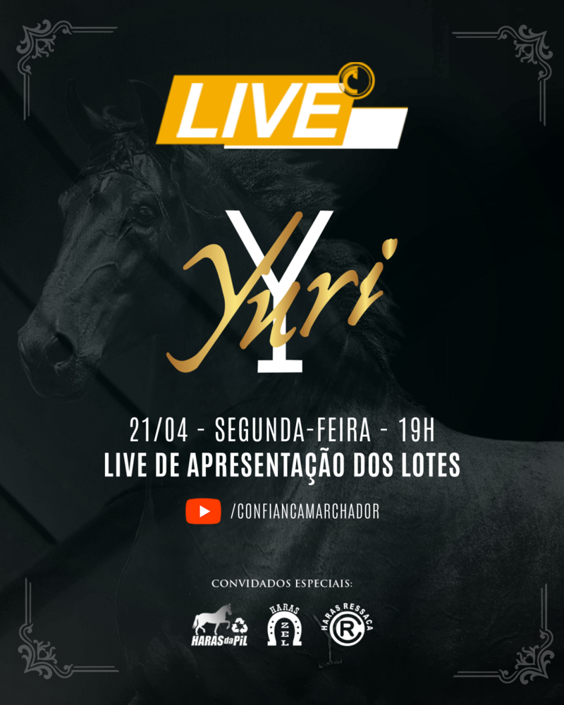XXVIII LEILÃO YURI