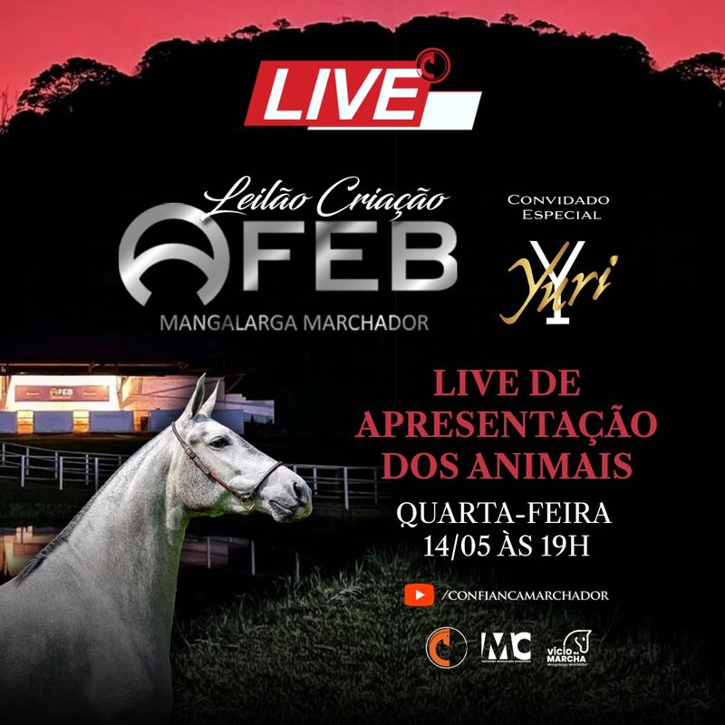 LEILÃO CRIAÇÃO AFEB