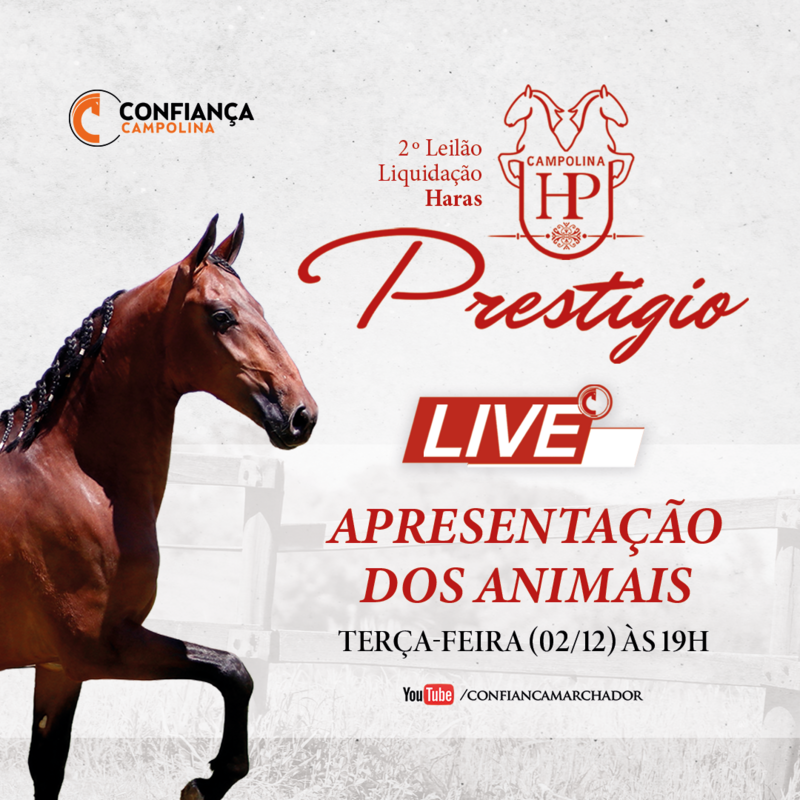 2º LEILÃO LIQUIDAÇÃO HARAS PRESTIGIO