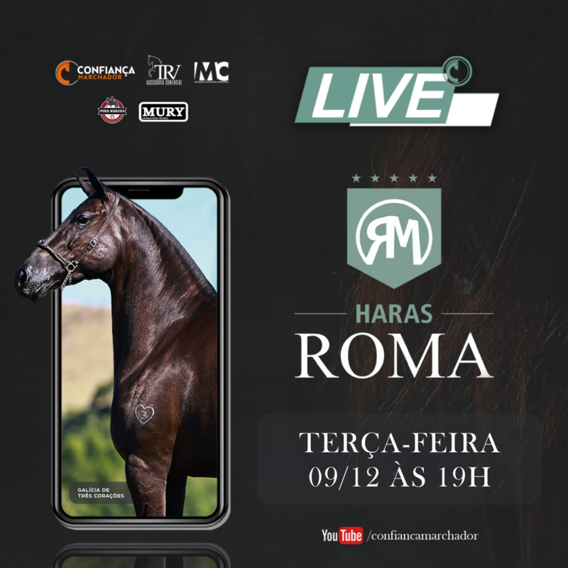 I LEILÃO ELITE HARAS ROMA & CONVIDADOS