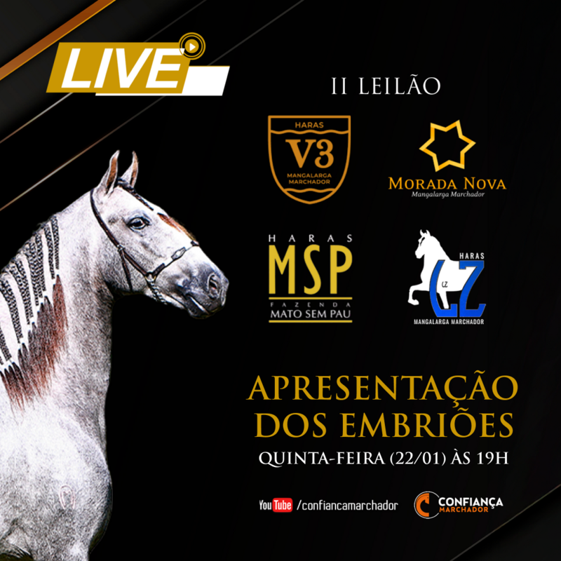 2º LEILÃO HARAS V3, MORADA NOVA, MSP E L.Z
