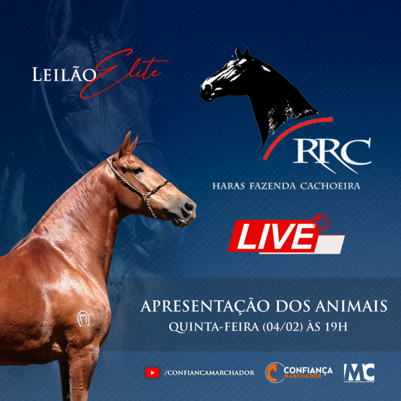 LEILÃO ELITE HARAS RRC
