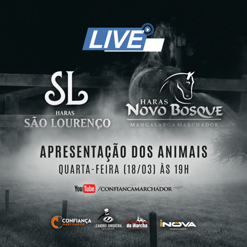 LEILÃO HARAS SÃO LOURENÇO E HARAS NOVO BOSQUE