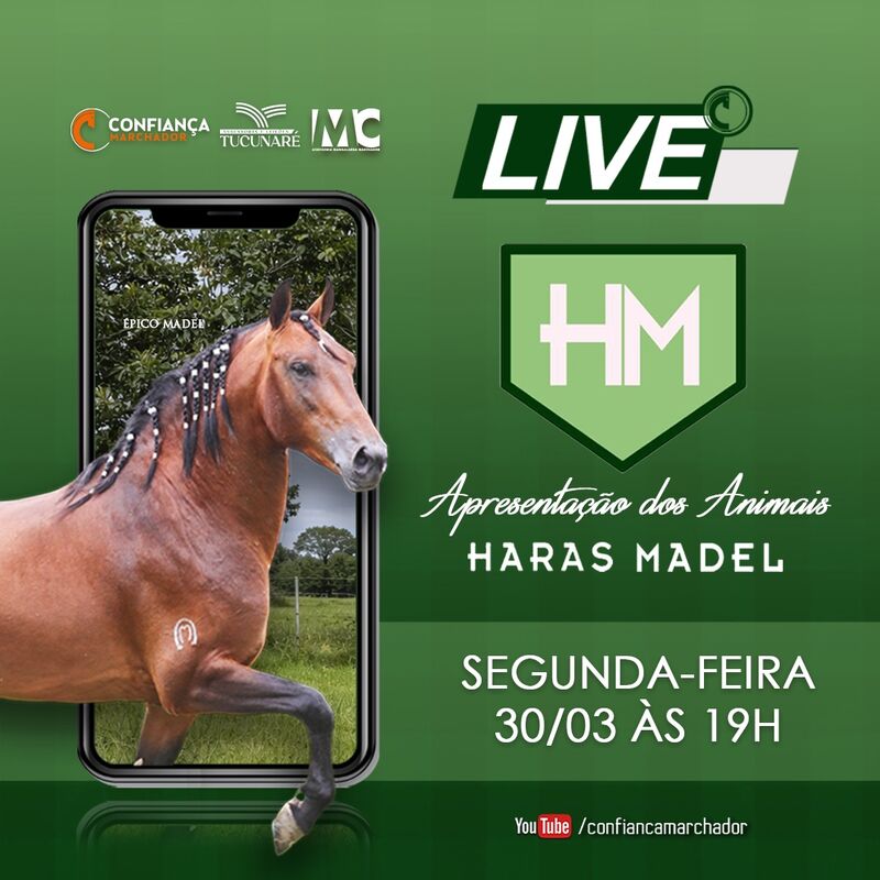 SEMANA DE NEGOCIOS HARAS MADEL
