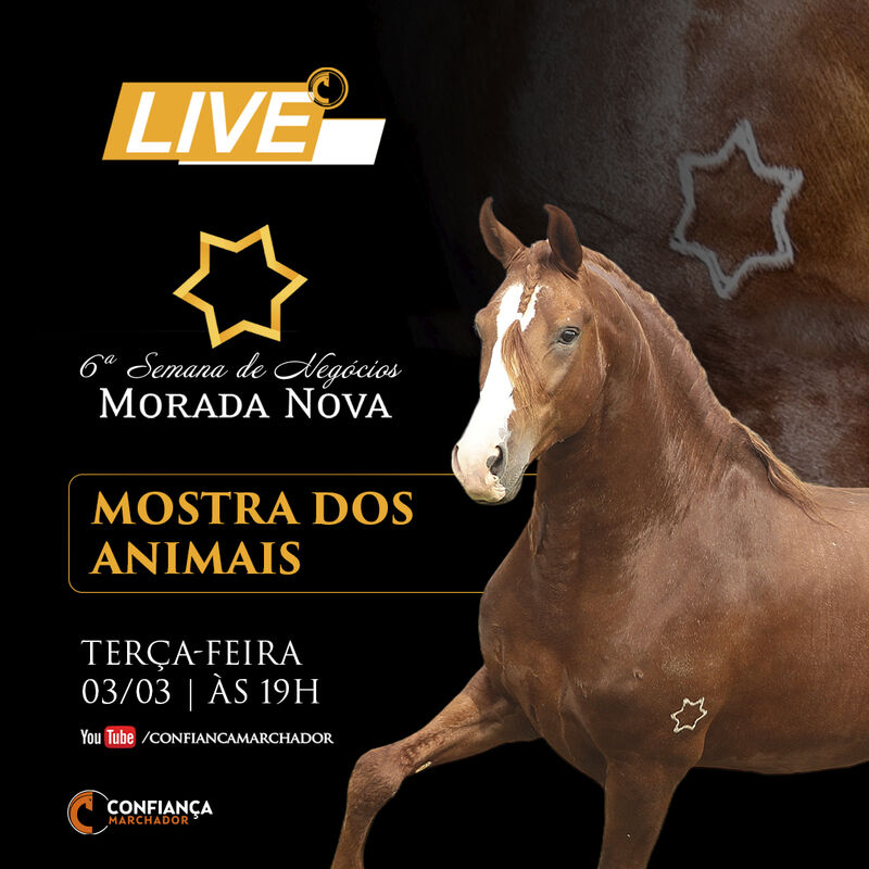 6ª SEMANA DE NEGÓCIOS HARAS MORADA NOVA